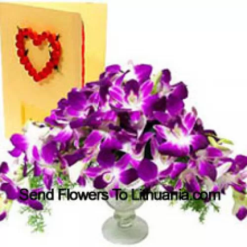 Orchide in un vaso con una cartolina gratuita (Si prega di notare che le orchide fornite con questo prodotto possono essere non sbocciate)